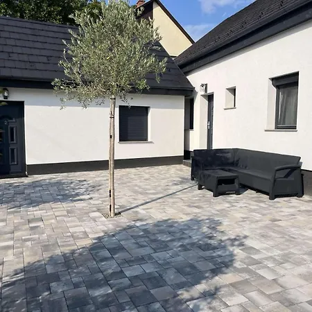 Altair Arpad 베체스