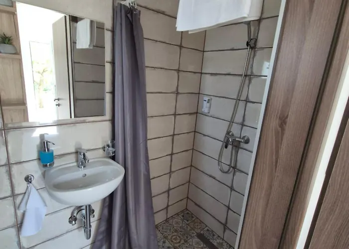 Altair Arpad 베체스