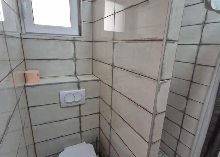 Altair Arpad 베체스